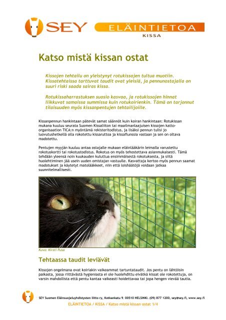 Katso mistÃ¤ kissan ostat - SEY Suomen ElÃ¤insuojeluyhdistysten liitto ry