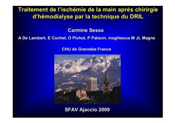 57 Sessa DRIL.ppt [Lecture seule] - SFAV