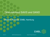 Time-resolved SAXS and SANS - EMBL Hamburg