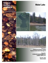 Mabel Lake Foreshore Inventory and Mapping - Regional District of ...