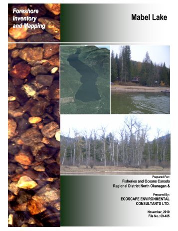 Mabel Lake Foreshore Inventory and Mapping - Regional District of ...