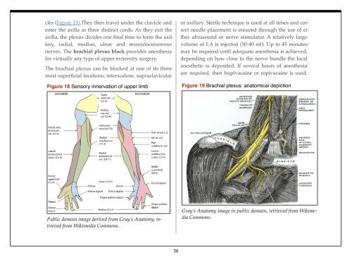 Understanding Anesthesiology - The Global Regional Anesthesia ...