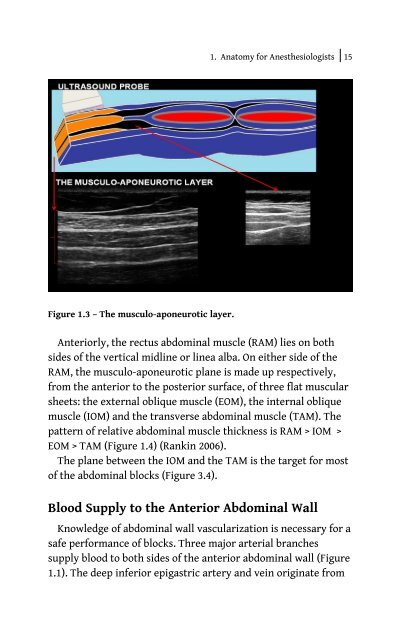 Ultrasound Blocks for the Anterior Abdominal Wall