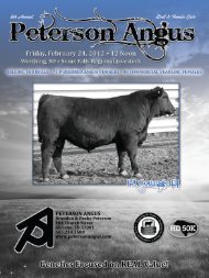 PETERSON ANGUS - Sioux Falls Regional Livestock