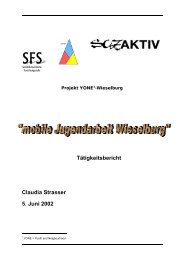 P15 - Ambulatne Jugendarbeit Wieselburg - Sozialökonomische ...