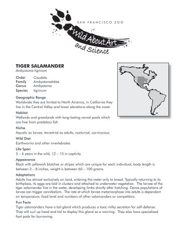 WAAS Grade 2: Tiger Salamander