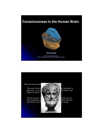 Consciousness in the Human Brain - Maastricht University