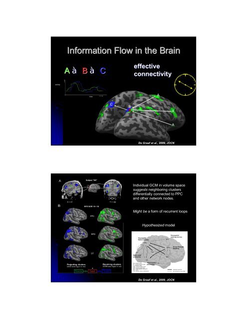 Consciousness in the Human Brain - Maastricht University