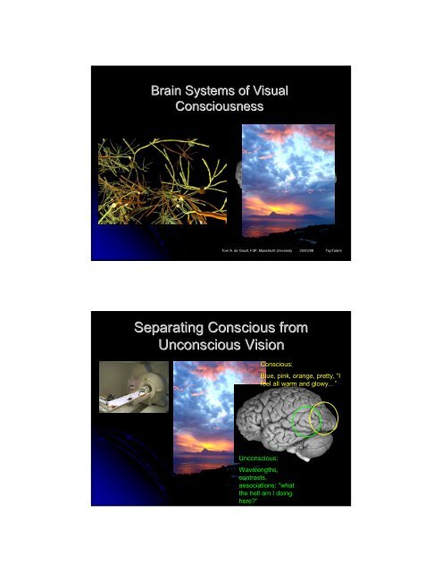 Consciousness in the Human Brain - Maastricht University