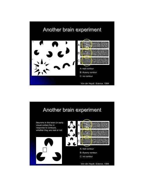 Consciousness in the Human Brain - Maastricht University