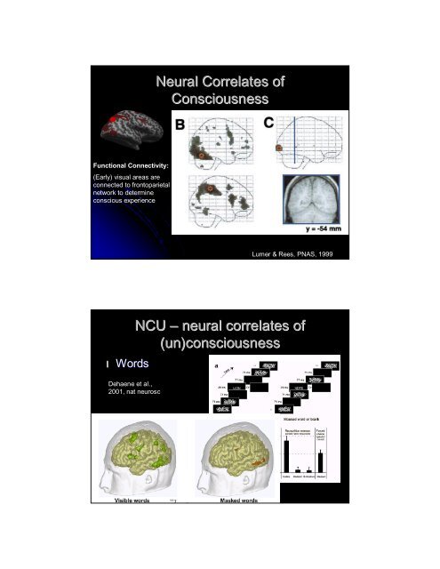 Consciousness in the Human Brain - Maastricht University