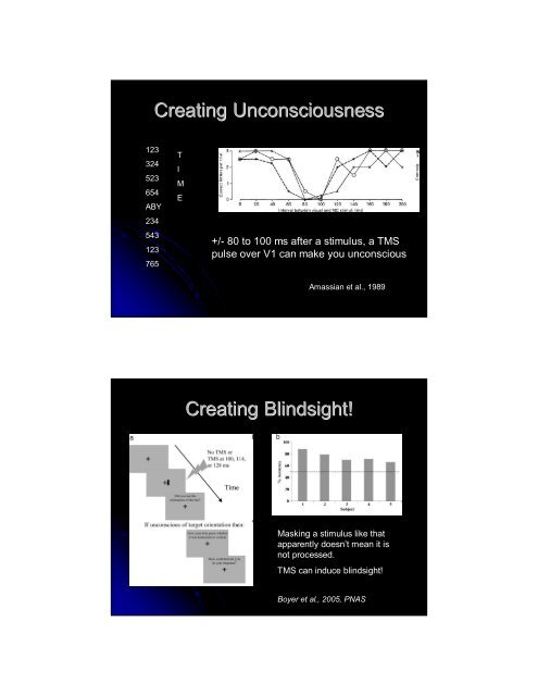 Consciousness in the Human Brain - Maastricht University