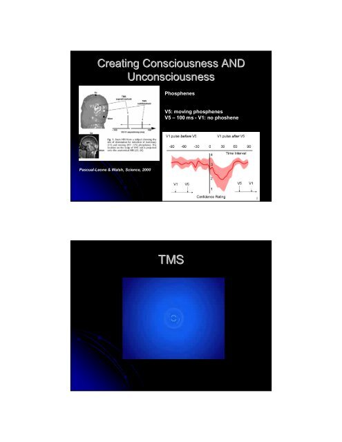 Consciousness in the Human Brain - Maastricht University