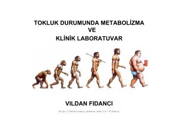 Tokluk Durumunda Metabolizma ve Klinik Laboratuvar