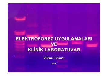 Elektroforez ve Klinik Laboratuvar