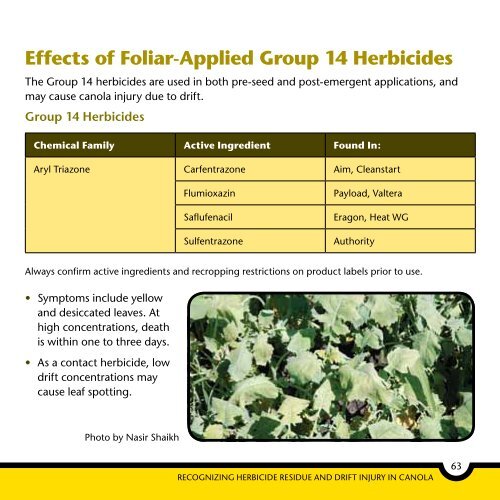 Herbicide Residue Drift Injury - Canola Council of Canada