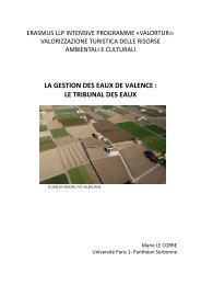 LA GESTION DES EAUX DE VALENCE : LE TRIBUNAL DES EAUX