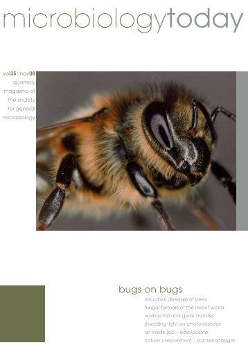Download - Society for General Microbiology
