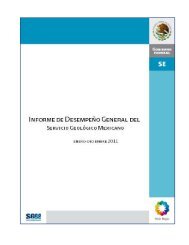 INFORME DE DESEMPENNO GRAL DEL SGM_ENE_DIC_2011.pdf