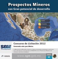 mining prospects dgm/c03-12 - Servicio GeolÃ³gico Mexicano