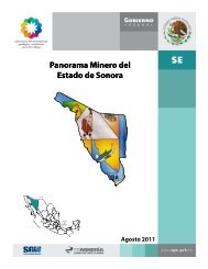 Sonora - Servicio GeolÃ³gico Mexicano