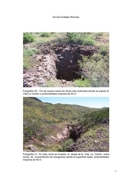 3 - Servicio GeolÃ³gico Mexicano