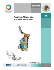 Tamaulipas - Servicio GeolÃ³gico Mexicano