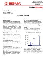 Endoproteinase Asp-N from Pseudomonas fragi ... - Sigma-Aldrich