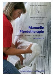 Manuelle Pferdetherapie - silverhorseranch