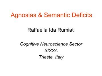 visual semantic system - sissa