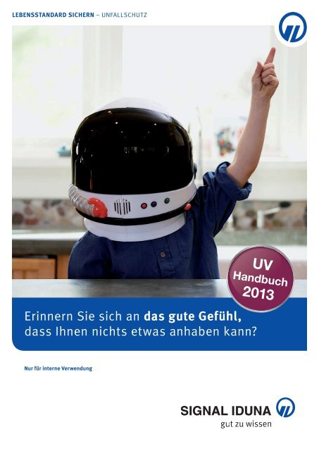 Handbuch Fur Die Unfallversicherung 2013 Signal Iduna