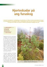 Hjorteskadar på ung furuskog - Skog og landskap