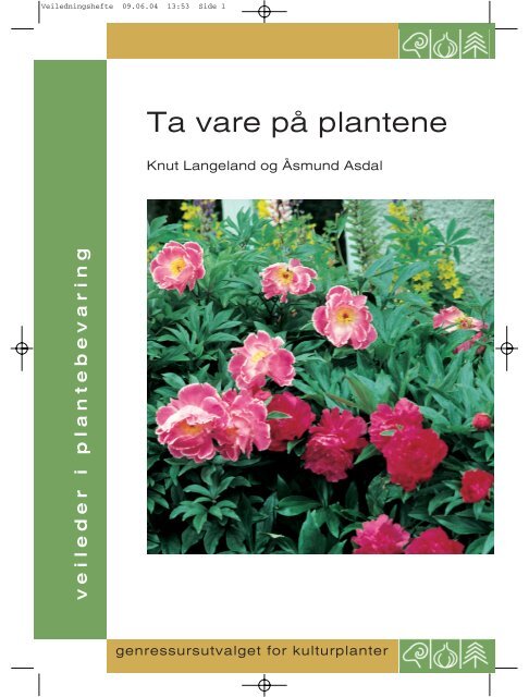 Ta vare på plantene - Plantearven - Skog og landskap