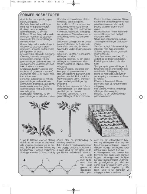 Ta vare på plantene - Plantearven - Skog og landskap