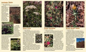 noxious weeds.p65 - County of San Luis Obispo