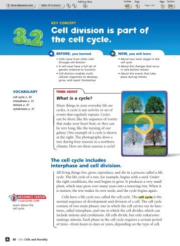 (3.2) Cell division is part of the cell cycle. - Durant Road Middle School