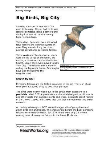 Big Birds, Big City