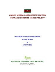 January 2013 - Orissa Mining Corporation