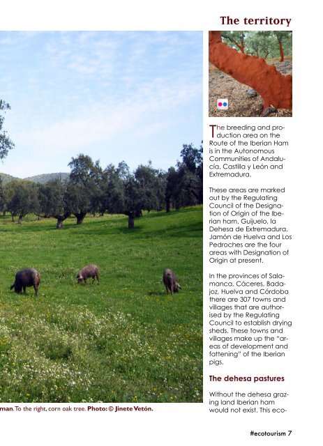 Eco Tourism 03. The Route of Iberian Ham