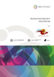 Recreation Precinct Master Plan - Shire Of Mount Magnet