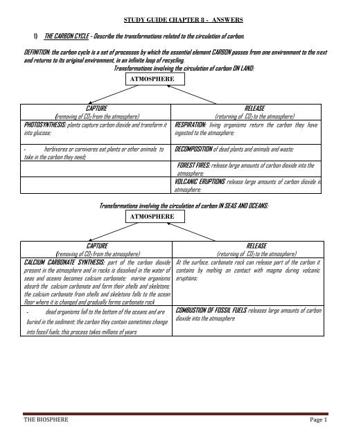 STUDY GUIDE CHAPTER 8 - ANSWERS 1) THE CARBON CYCLE ...