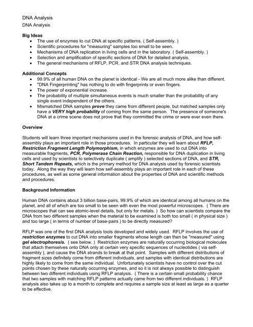 DNA Fingerprinting Lesson Plan