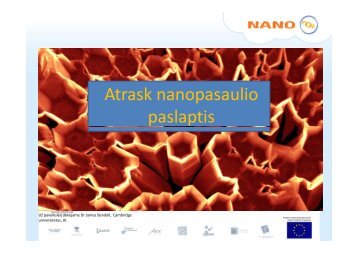 h Atrask nanopasaulio paslaptis - Nanoyou