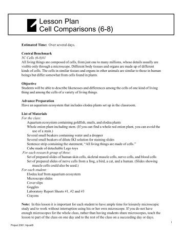 Handout: Lesson Plan, Cell Comparison (6-8) - Project 2061