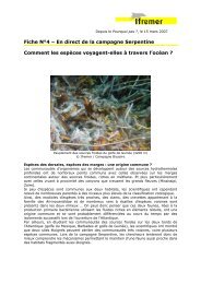 Fiche NÂ°4 â En direct de la campagne Serpentine ... - Ifremer