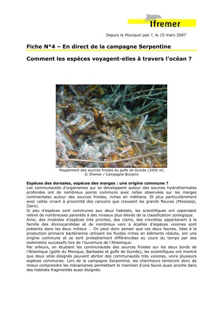 Fiche NÂ°4 â En direct de la campagne Serpentine ... - Ifremer