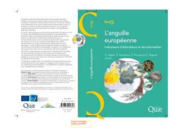 L'anguille europÃ©enne, indicateurs d'abondance et de ... - ifremer