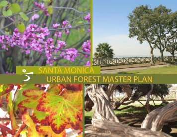 SANTA MONICA URBAN FOREST MASTER PLAN - City of Santa ...