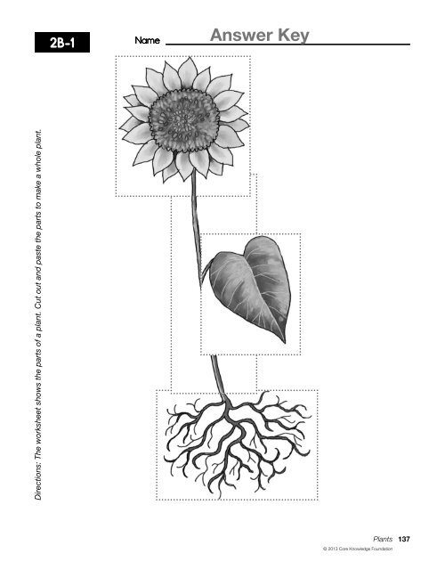 Plants - EngageNY