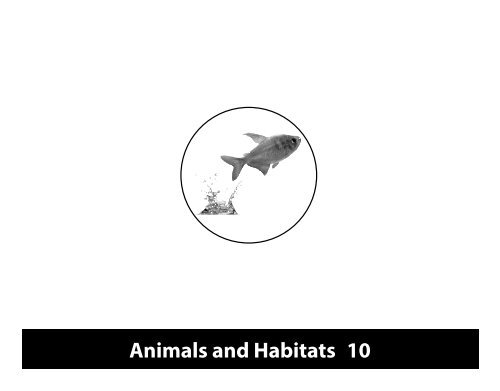 Animals and Habitats - EngageNY